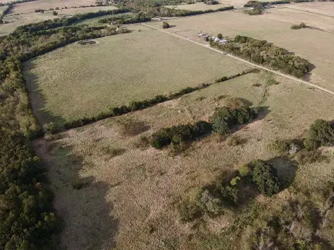 Timbered Hunting Land