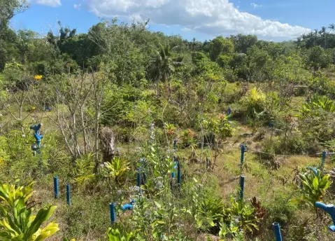Agricultural Land