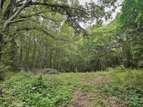 Residential Lot in Henderson, TX