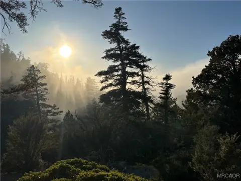 Angelus Oaks Off-Grid Land