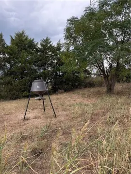 61-Acre Hunting Land