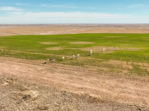 640 Acres Near Strasburg, CO