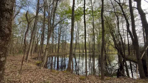 5.22 Acre Vacant Land Opportunity