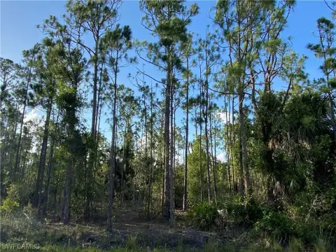 Punta Gorda Land For Sale