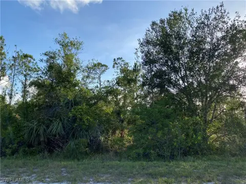 Residential Land in Punta Gorda