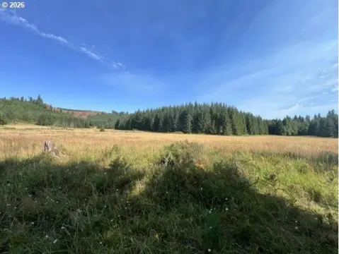 Recreational Timberland and Pasture