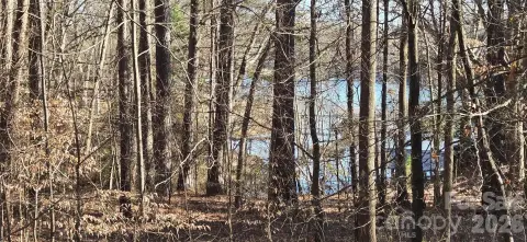 Wooded Lot with Lake Access