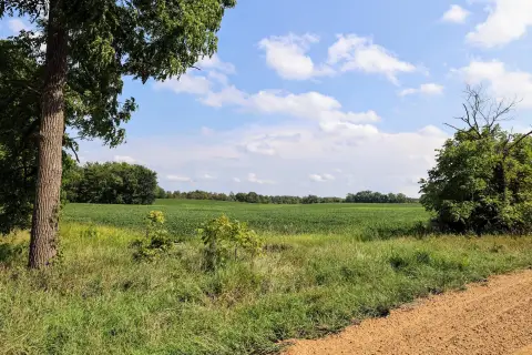 Farmland with Hardwood Woodlots