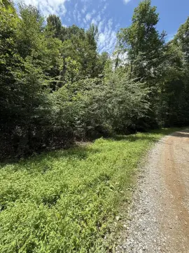 Wooded Mountain Recreation Land