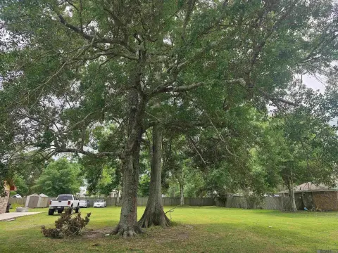Residential Land in Gonzales, Louisiana