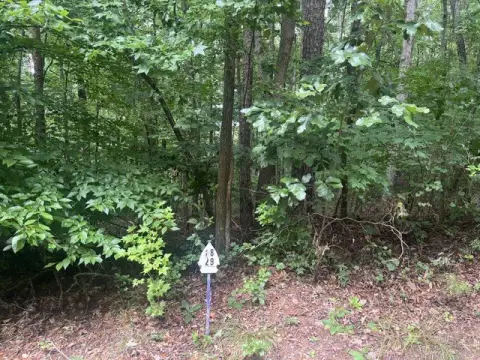 Lakefront Builder Lot