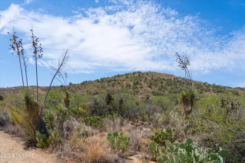 Custom Home Lot with Shared Well