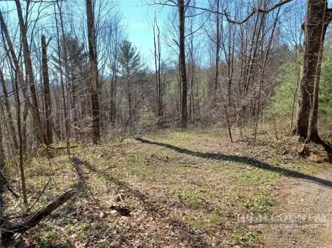Wooded Land Near State Line