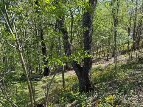 Appalachian Ski Mountain Building Lot