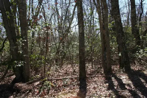 Residential Lot in High Valley