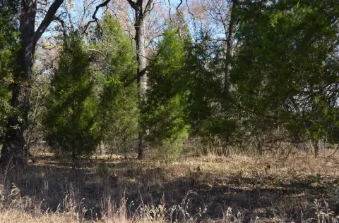 Wooded Lot in Waterfront Subdivision