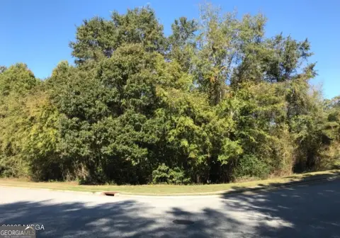 Residential Lot in Gated Community