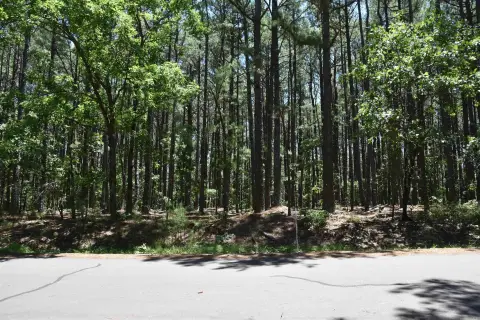 Hot Springs Village Subdivision Lot