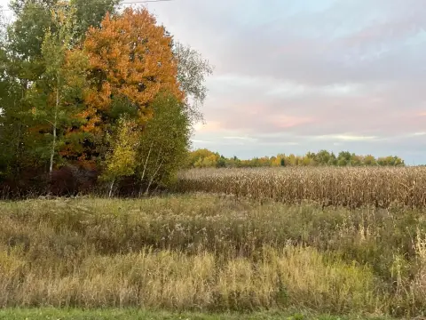 Crop-Producing Farmland
