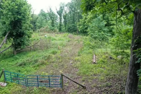Wooded Waterfront Land with Lake-View Lots