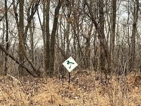 Wooded Lake-Adjacent Lot