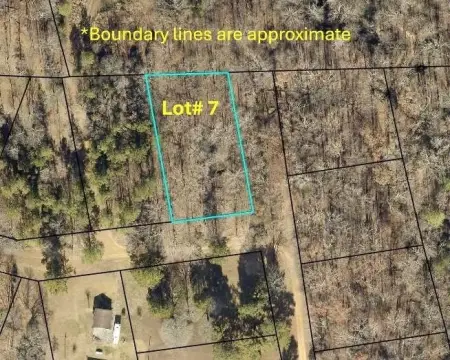 Wooded Land Parcel