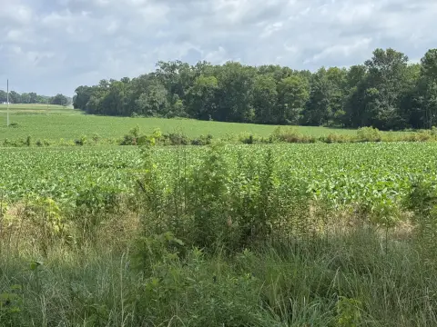 Countryside Hobby Farm Land