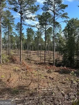 1047 Acres in Madison, Georgia
