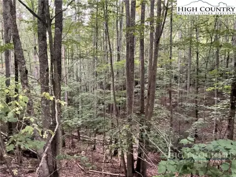 Beech Mountain Land Opportunity