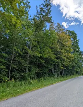Mature Woods Hunting Land