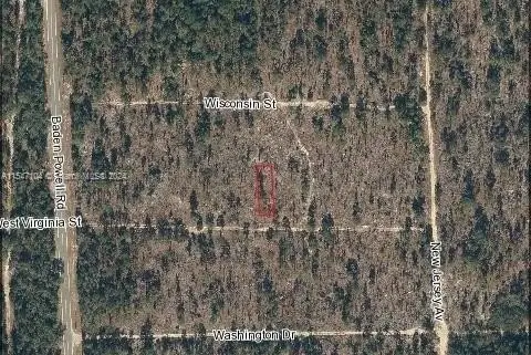 Residential Land in Hawthorne, Ocala