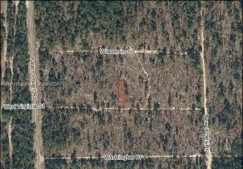 Residential Land in Hawthorne, Ocala