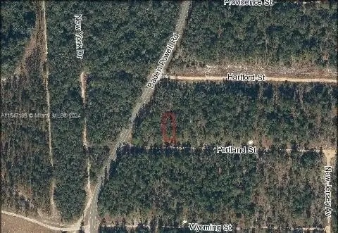 Residential Land in Hawthorne, Florida