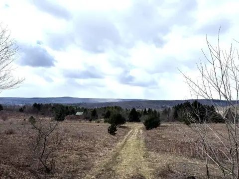 Recreational Hunting Land With Meadows