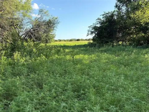 10 Acres of Texas Land