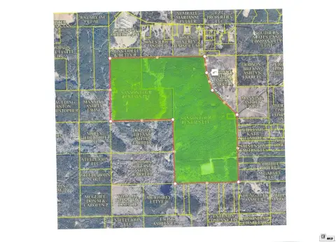 Pine Timber & Hunting Land