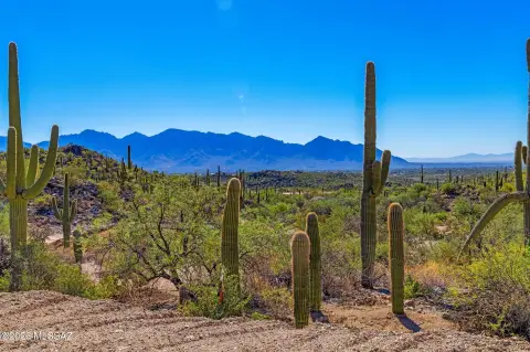 Build-Ready Homesite Lot