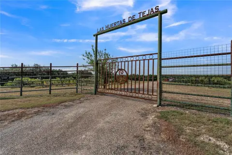 Producing Vineyard Estate