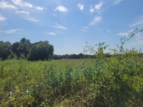 Grassy Agricultural Land