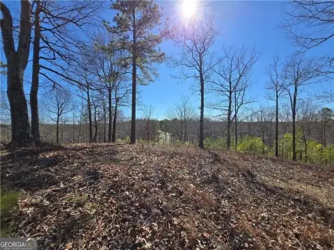 Land with Mountain Views