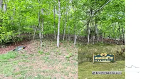 Wooded Lot in Mountain View Estates
