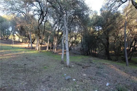 Clearlake Land with Creek