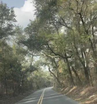 Expansive Countryside Land in Chipley