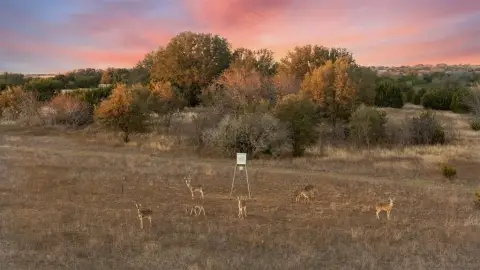 366-Acre Ranch in Bosque County