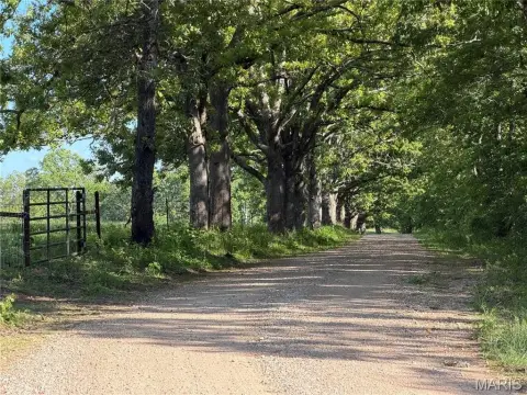 Timber and Pasture Land Tract