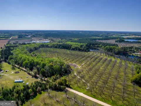 74 Acres with Pecan Orchard