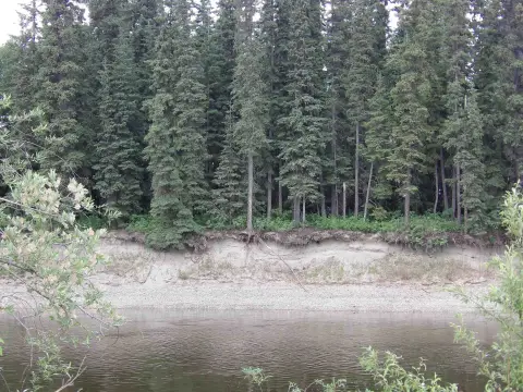 High-Bank Riverfront Land Parcel
