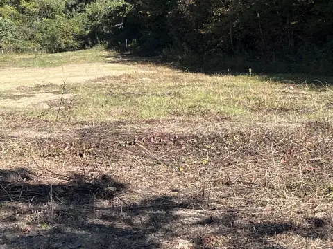 Wooded Rural Land Tract