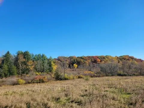 Osseo, MI Hunting Land