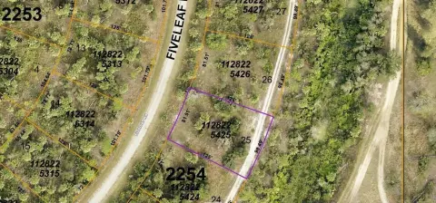 North Port Buildable Lot